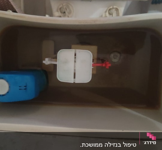 מבט לתוך ניאגרת חרס פתוחה עם מנגנון הדחה ומצוף